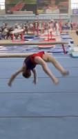 Gymnast boy 2 (routines)