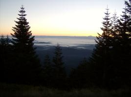 Marys Peak, Western Oregon