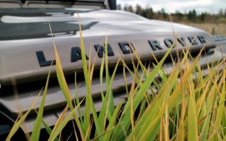 Land Rover DEFENDER In the Tall Grass