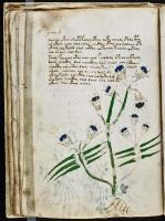 Voynich Manuscript pages 21 through 30