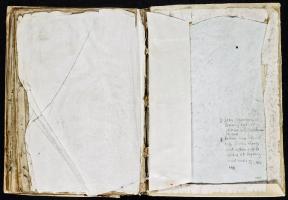 Voynich Manuscript Pages 116 to END