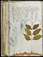 Voynich Manuscript pages 31 through 40