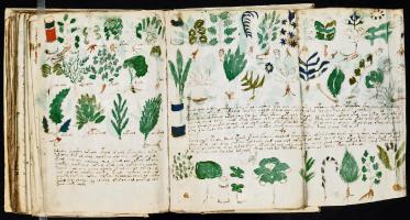 Voynich Manuscript pages 101 through 115