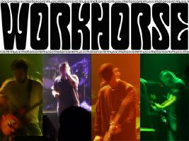Workhorse - My Uncle's Band