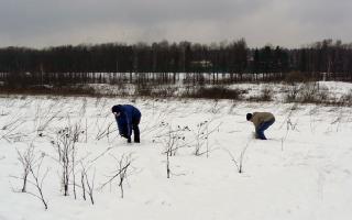 Novoperedelkino.Ru: как мы лепили снеговиков (03.2007)
