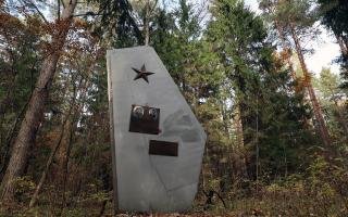 памятник на месте падения самолёта МиГ-21 ЗАО ГЖЕЛКА
