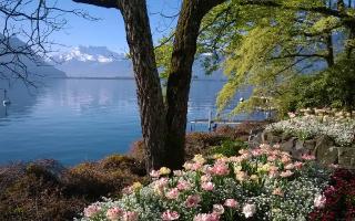 Montreux - Les Pleiades - Blonay - Vevey - Villeneuve - Montreux