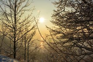 фото Зима © mirielle_elenna