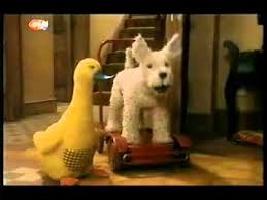 The Dog and Duck