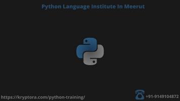 python language institute in meerut
