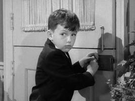 Jerry Mathers (Leave It to Beaver 1957)